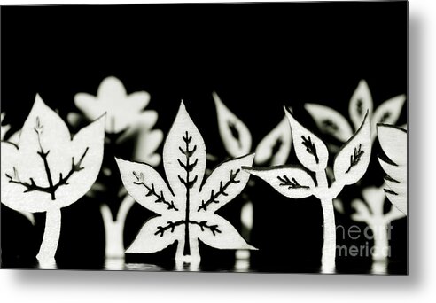 Leaf Metal Print featuring the photograph Wooden leaf shapes in black and white by Simon Bratt