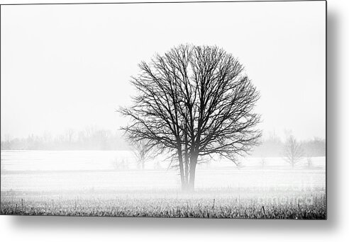 Nina Stavlund Metal Print featuring the photograph One... #2 by Nina Stavlund