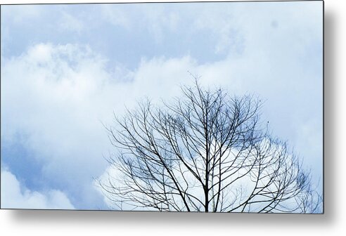 Winter Fall White Sky Metal Print featuring the photograph Winter Tree by Adelista J