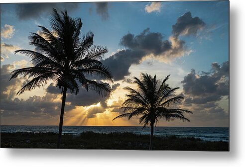 Florida Metal Print featuring the photograph Sunrise Palms Delray Beach Florida #2 by Lawrence S Richardson Jr