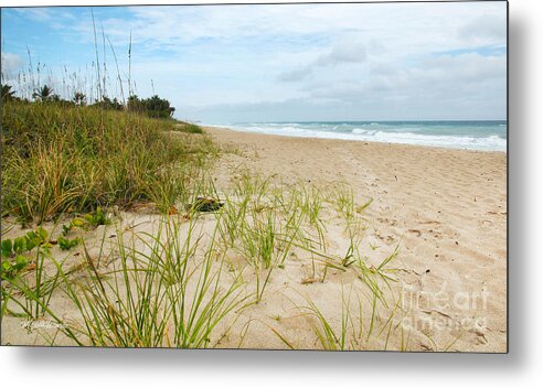 Shore Metal Print featuring the photograph A Peaceful Place by the Sea by Michelle Constantine
