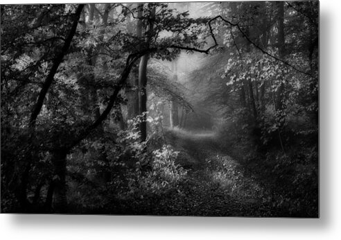 Path Metal Print featuring the photograph A Sorrow Beyond Dreams by Norbert Maier