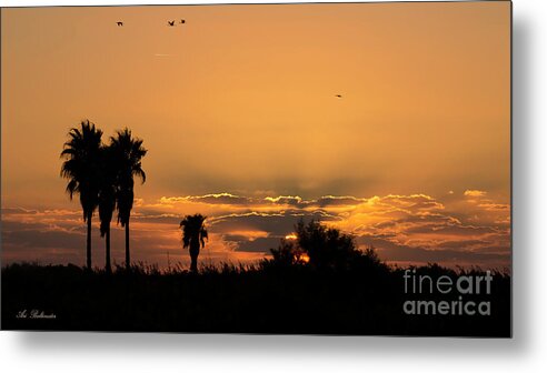 Sunset Metal Print featuring the photograph African style sunset 02 by Arik Baltinester