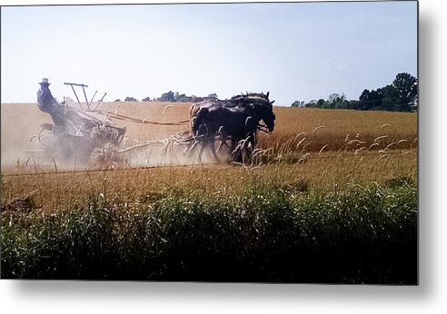 Amish Metal Print featuring the photograph Amish Harvest by George Harth