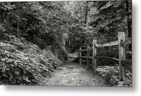 Appalachian Trail Metal Print featuring the photograph Appalachian Trail Trek by Stephen Stookey