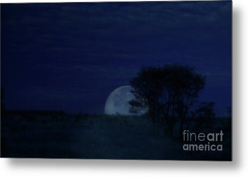 Vicki Ferrari Photography Metal Print featuring the photograph Australian Blue Moon by Vicki Ferrari