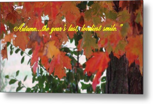 Autumn Quote Metal Print featuring the photograph Autumn's last Smile Photo by Stacie Siemsen