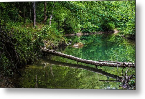 Lilly Metal Print featuring the photograph Bankhead Blue Hole Reflections by James-Allen