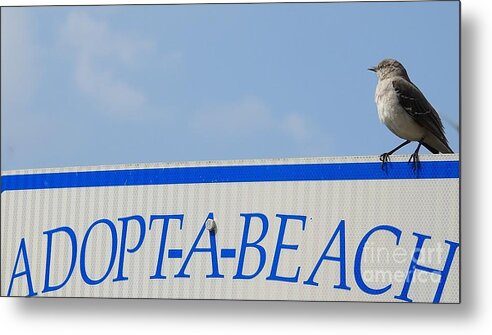 Coastal Metal Print featuring the photograph Beach Support by Jan Gelders