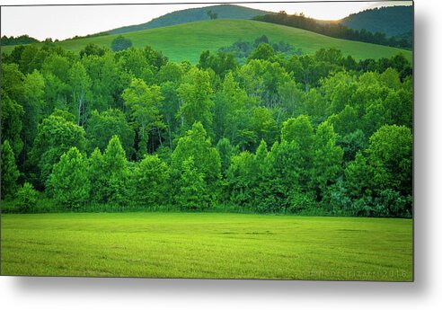 Trees Metal Print featuring the photograph Blue Ridge Mountains Virginia  by Henri Irizarri