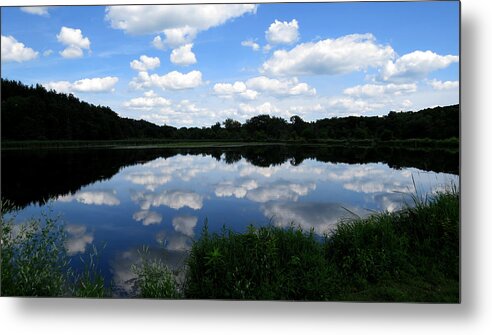 Nature Metal Print featuring the photograph Blue Skies at Cadiz Springs by Kimberly Mackowski