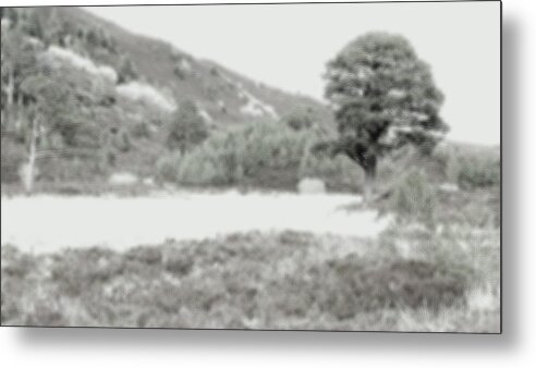 Tree Metal Print featuring the photograph Blur by HweeYen Ong