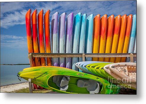 Gulf Coast Metal Print featuring the photograph Bright Day of Summer by Liesl Walsh