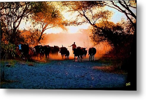 Africa Metal Print featuring the photograph Bringing In The Herd by CHAZ Daugherty