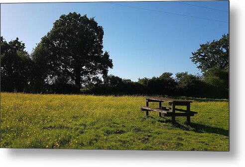 Landscape Metal Print featuring the photograph Buttercup Meadow by Rowena Tutty