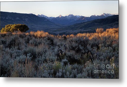 Mountain Landscape Metal Print featuring the photograph Cimmaron Valley Overlook by Jim Garrison