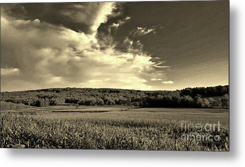 Farm Metal Print featuring the photograph Clouds and Cornfields by Dani McEvoy