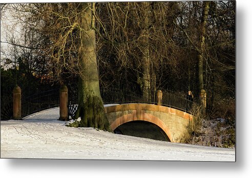 Park Metal Print featuring the photograph Crossing - 365-278 by Inge Riis McDonald