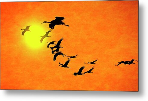 Nature Metal Print featuring the photograph Crossing the Sun, Sandhill Cranes by Zayne Diamond