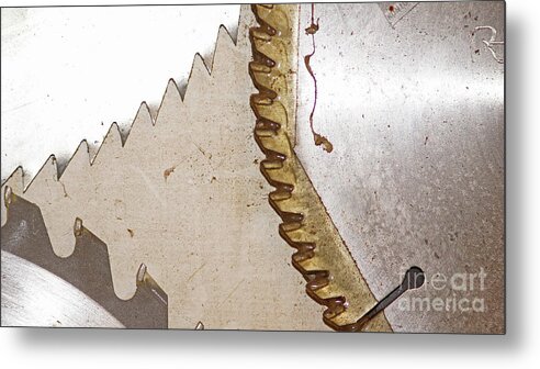 Sawblade Metal Print featuring the photograph Dangerously sharp  by Eva-Maria Di Bella