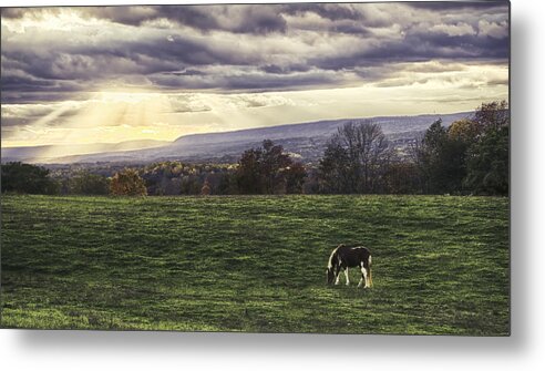 Farm Metal Print featuring the photograph Day's End by Eleanor Bortnick