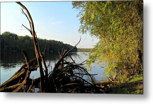 Chiefland Metal Print featuring the photograph Drifting by Sheri McLeroy