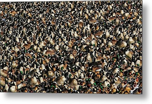 Nature Abstraction Metal Print featuring the photograph Duck Geese Abstraction by Elizabeth Winter
