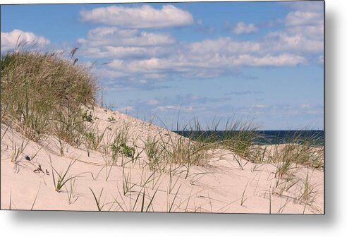 Dunes Metal Print featuring the photograph Dunes of White Horse Beach by Janice Drew