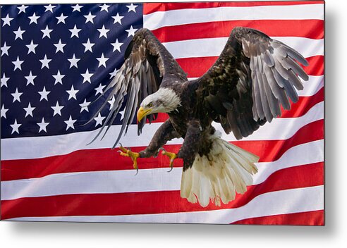 Eagle Metal Print featuring the photograph Eagle and Flag by Scott Carruthers