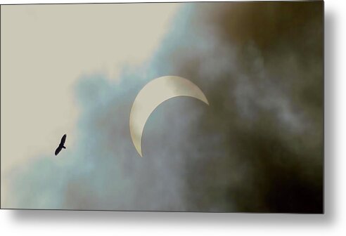 Eclipse Metal Print featuring the photograph Eclipse With Hawk 8-21-17 by Jennifer Wheatley Wolf