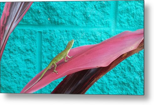 Anole Metal Print featuring the photograph Encounter by Sandra Carter