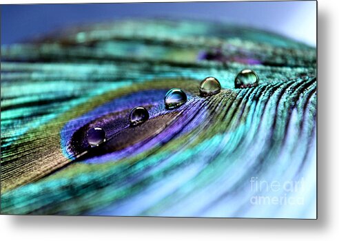 Peacock Feather Metal Print featuring the photograph Exotic Drops Of Life by Krissy Katsimbras