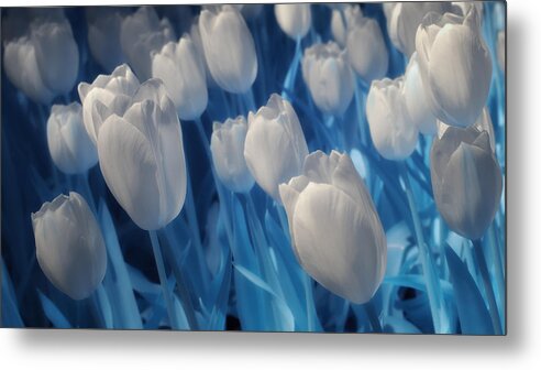 Tulips Metal Print featuring the photograph Fanciful Tulips in Blue by James Barber