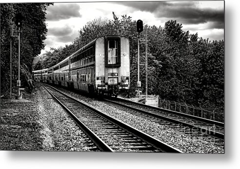 Rail Metal Print featuring the photograph Farewell Traveler by Olivier Le Queinec