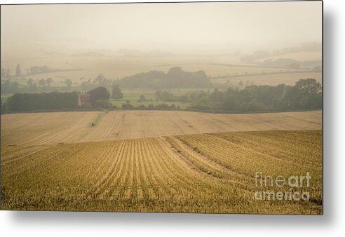 Field Metal Print featuring the photograph Fields of Gold by Perry Rodriguez