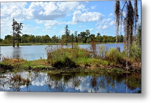 Wetlands Metal Print featuring the photograph Wetlands and Marsh by Carol Bradley