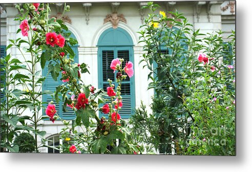 Flowers Metal Print featuring the photograph Flowers in front of the window by Eva-Maria Di Bella