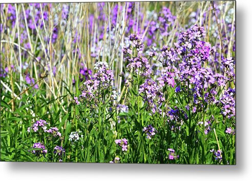 Abstract Metal Print featuring the photograph Flowers In The Field by Lyle Crump