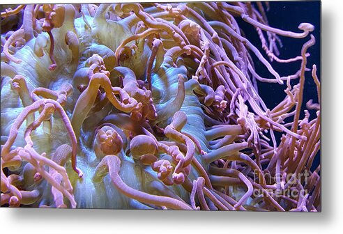 Fluid Metal Print featuring the photograph Fluidity 2 by Angela Murray