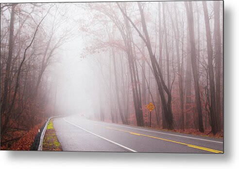 Fog Metal Print featuring the photograph Foggy Autumn by Rima Biswas