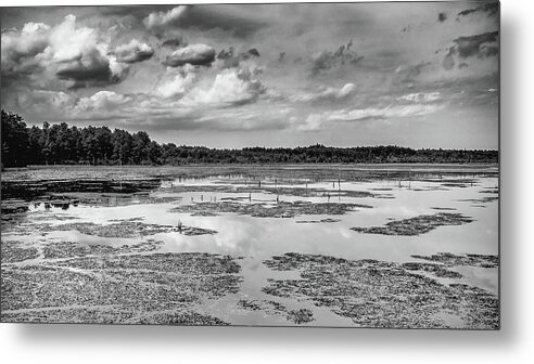 B&w Metal Print featuring the photograph Franklin Parker Preserve Landscape by Louis Dallara