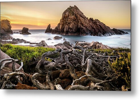 Sugarloaf Metal Print featuring the photograph G N A R L Y by Andrew Dickman