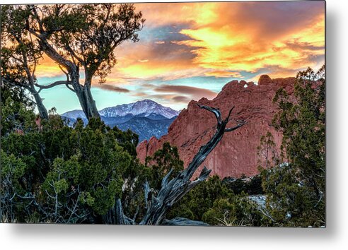 Garden Of The Gods Metal Print featuring the photograph Garden of the Gods and the Twisted Tree at Sunset by David Soldano
