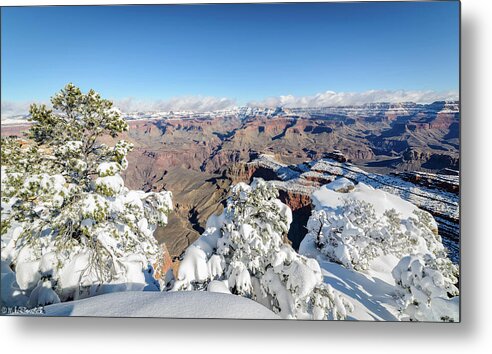 Grand Canyon Metal Print featuring the photograph Grand Canyon #6 by Mike Ronnebeck