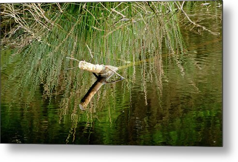 Immersed Metal Print featuring the photograph Half submerged by Elena Perelman