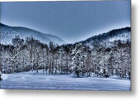 Snow Metal Print featuring the photograph HDR Snow Trees by Jonny D