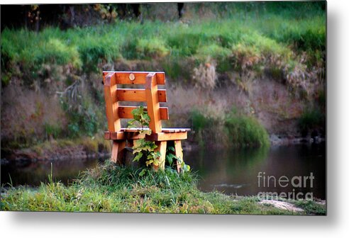 Place Metal Print featuring the photograph His favorite place by Eva-Maria Di Bella