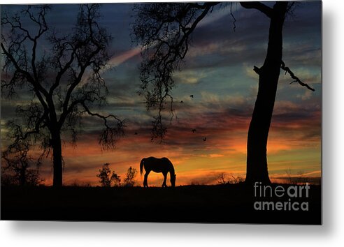 Horse Metal Print featuring the photograph Horse Sunrise and Oak Trees with Birds Pasture by Stephanie Laird