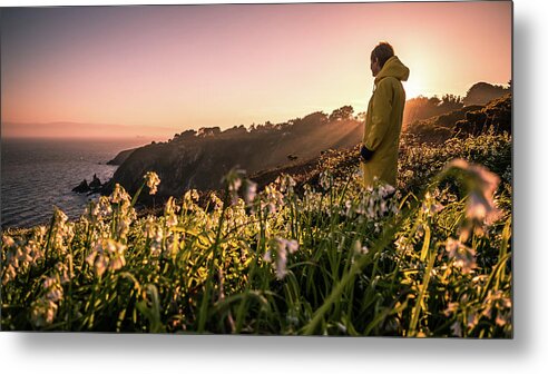 Backlight Metal Print featuring the photograph Howth Cliff path - Dublin, Ireland - Travel photography by Giuseppe Milo