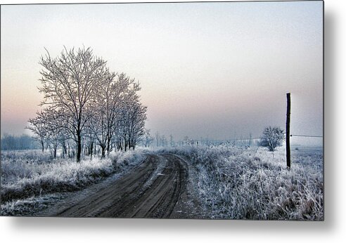 Hungary Metal Print featuring the photograph In the Lonsome by Mimulux Patricia No